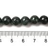Natural Black Jade Beads Strands X-G-H067-A03-6MM-5