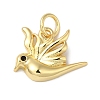 Rack Plating Brass Enamel Charms KK-B092-35G-1