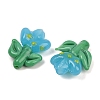 Handmade Lampwork Beads LAMP-S070-04F-3