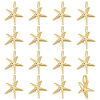 16Pcs Rack Plating Brass Pendants KK-ME0002-12-1