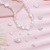 12 Sets 12 Styles ABS Plastic Imitation Pearl Beads FIND-AR0005-25-4