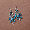Bohemian Style Oval Alloy Resin Tassel Dangle Earrings FS-WG90D95-01-1
