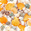 Natural Shell Display Decorations DJEW-WH0063-35-1