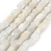 Natural White Moonstone Beads Strands G-P497-01C-65-1