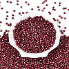 Baking Paint Pearlized Glass Seed Beads SEED-T007-21A-09-1