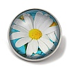 Round Glass Brooches FIND-Q096-01L-1