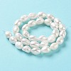 Natural Cultured Freshwater Pearl Beads Strands PEAR-Z002-13-3