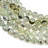 Natural Prehnite Beads Strands LS-GG-CBA7D2C-A01-6mm-3