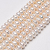 Natural Cultured Freshwater Pearl Beads Strands PEAR-Q007-18B-5