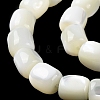 Natural Trochus Shell Beads Strands BSHE-E030-05A-4