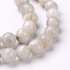 Faceted Natural Agate Round Bead Strands G-L383-11-10mm-3