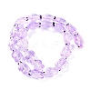 Transparent Glass Enamel Beads Strands GLAA-B021-06B-2