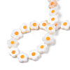 Natural Freshwater Shell Beads Strands SHEL-N003-31B-01-4