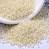 MIYUKI Delica Beads SEED-X0054-DB0157-1