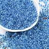 Transparent Inside Colours Glass Seed Beads X1-SEED-A032-04D-1