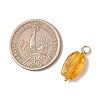 Gradient Color Natural Amber Pendants PALLOY-JF04987-2