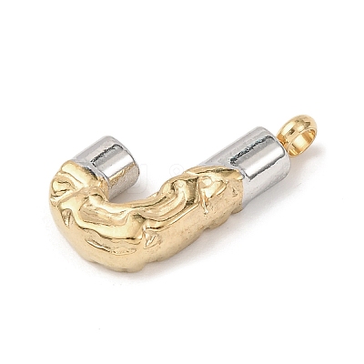 304 Stainless Steel Pendants STAS-Z170-01GP-J-1
