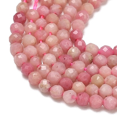 Natural Rhodonite Beads Strands X-G-P553-G06-01-1