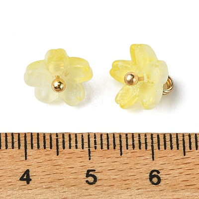 Alloy Acrylic Pendants TACR-P016-01G-11-1