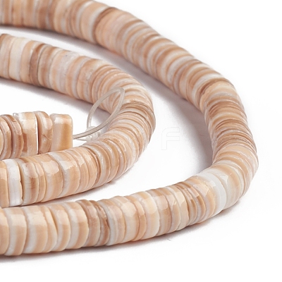 Shell Beads Strands BSHE-G026-01-1