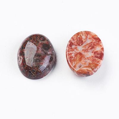 Natural Leopard Skin Jasper Cabochons G-LS18x13x10-1
