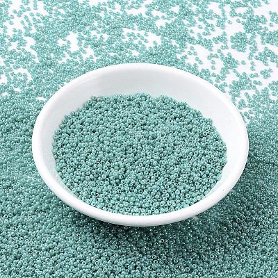 MIYUKI Round Rocailles Beads X-SEED-G007-RR0481-1