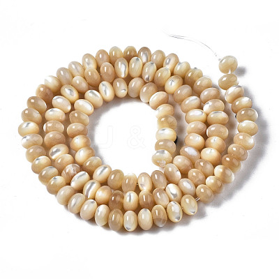 Natural Trochid Shell/Trochus Shell Beads Strands SSHEL-S266-017B-1