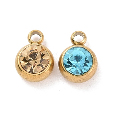 304 Stainless Steel Charms STAS-I165-04C-G-1