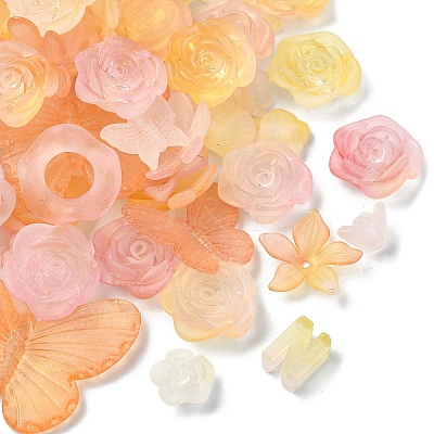 50G Transparent Acrylic Beads OACR-YW0002-44D-1