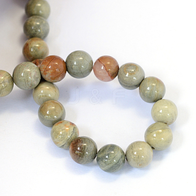 Natural Silver Leaf Jasper Round Bead Strands X-G-E334-6mm-04-1