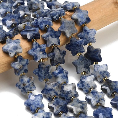 Natural Blue Spot Beads Strands G-P573-C45-01-1