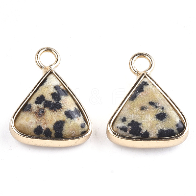Natural Dalmatian Jasper Pendants G-S344-10B-1