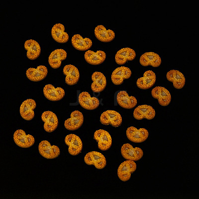Cookie Luminous Resin Cabochons CRES-T026-02D-1