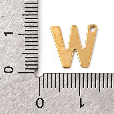 304 Stainless Steel Charms STAS-B093-12G-W-1