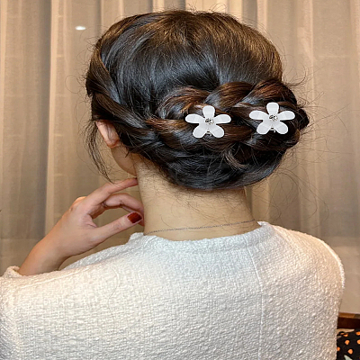 8Pcs Plastic Claw Hair Clips OHAR-LP0002-28-1