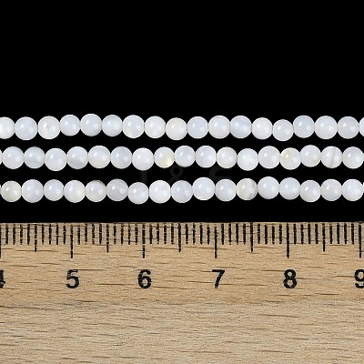 Natural Cultured Freshwater Shell Beads Strands X-BSHE-H109-03A-1