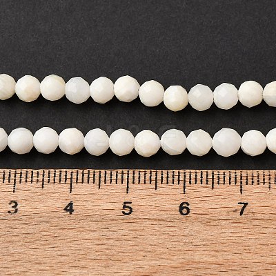 Shell Beads Strands SSHEL-E571-38-4mm-01-1