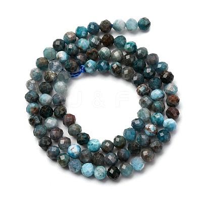 Natural Apatite Beads Strands X-G-A276-C08-4mm-01-1