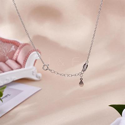 4 Pieces Extension Chain with Spring Clasp Sterling Silver Extender Chains Necklace Bracelet Anklet Removable Chain Extenders Charms for DIY Jewelry Making Accessories JX625A-1