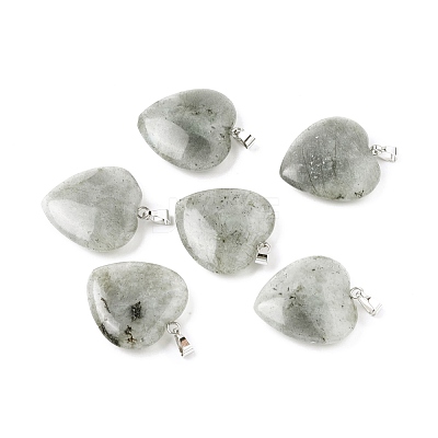 Natural Labradorite Pendants G-G956-B45-FF-1