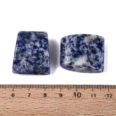 Natural Blue Spot Jasper Pendants G-G602-07H-1