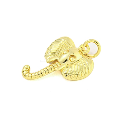 Rack Plating Brass Pendants KK-U021-07G-1