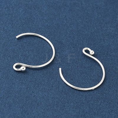 Rhodium Plated 925 Sterling Silver Earring Hooks LS-STER-E068-05S-1