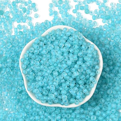 6/0 Luminous Glass Seed Beads SEED-NH0001-01N-1