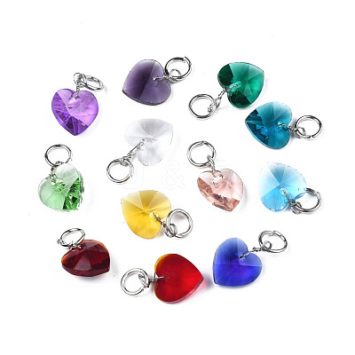 Faceted Transparent Glass Charms GLAA-T024-04-1
