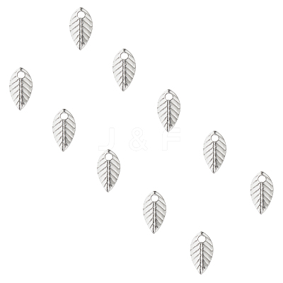 316 Surgical Stainless Steel Charms STAS-UN0007-07P-1