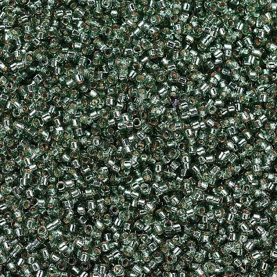MIYUKI Delica Beads X-SEED-J020-DB2165-1