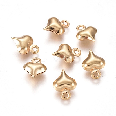304 Stainless Steel Charms STAS-I138-11A-G-1