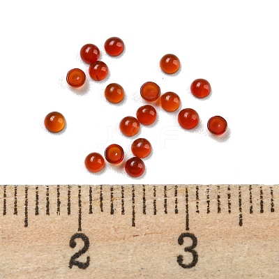 Natural Carnelian Cabochons G-H309-02-09-1