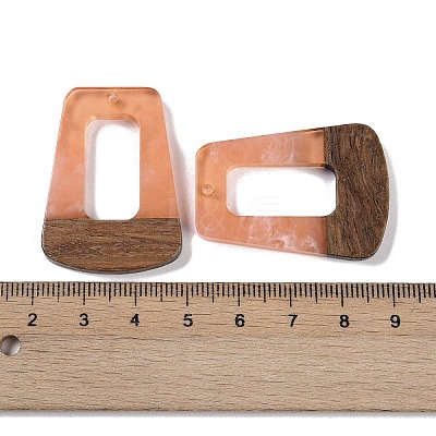 Resin & Wood Pendants WOOD-F015-11B-1